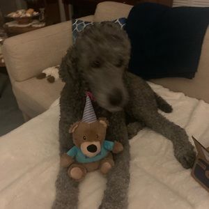 Meet your Posher, Carol